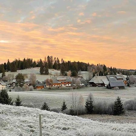 Helle Gemuetliche Ferienwohnung In Schwarzwaldhof Ibach Buitenkant foto