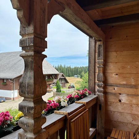 Helle Gemuetliche Ferienwohnung In Schwarzwaldhof Ibach Buitenkant foto