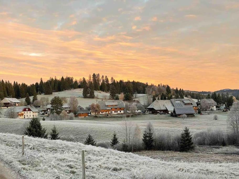 Helle Gemuetliche Ferienwohnung In Schwarzwaldhof Ibach Buitenkant foto