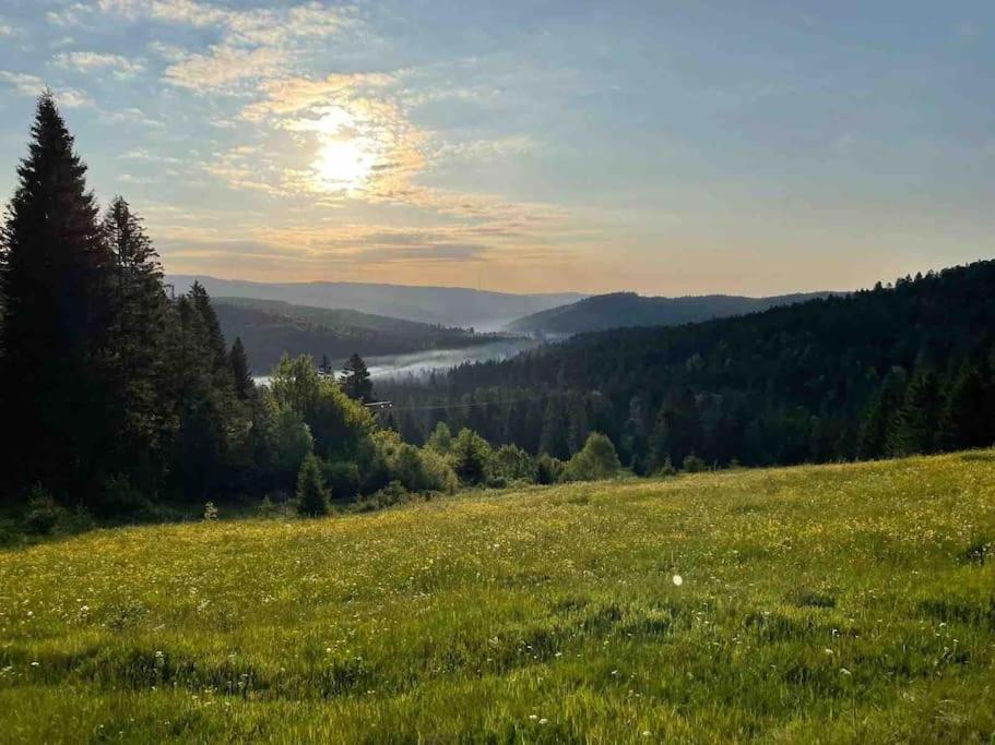Helle Gemuetliche Ferienwohnung In Schwarzwaldhof Ibach Buitenkant foto