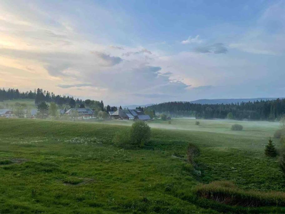 Helle Gemuetliche Ferienwohnung In Schwarzwaldhof Ibach Buitenkant foto