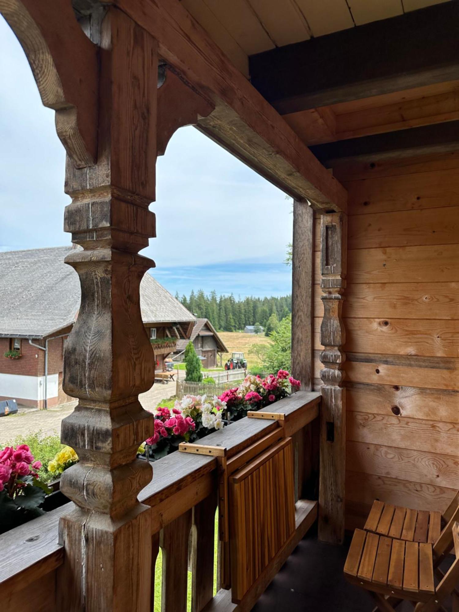Helle Gemuetliche Ferienwohnung In Schwarzwaldhof Ibach Buitenkant foto