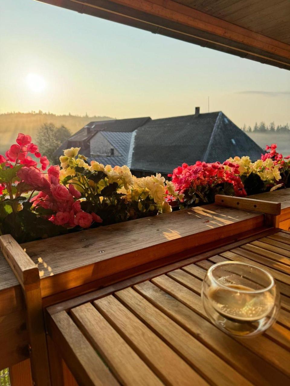 Helle Gemuetliche Ferienwohnung In Schwarzwaldhof Ibach Buitenkant foto