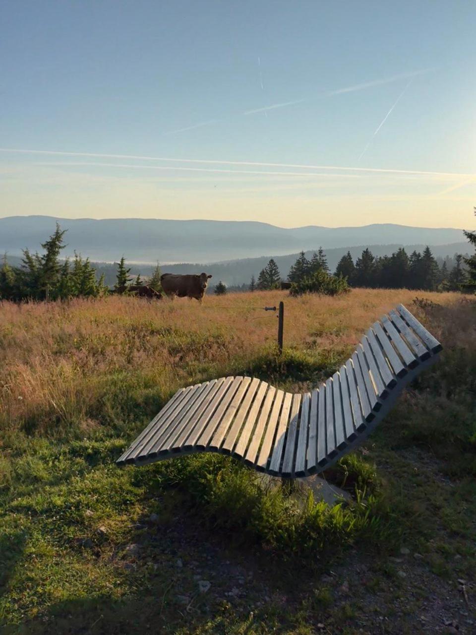 Helle Gemuetliche Ferienwohnung In Schwarzwaldhof Ibach Buitenkant foto